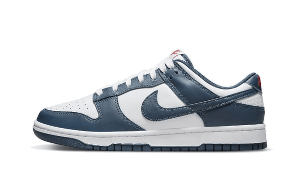 Nike Dunk Low Valerian Blue